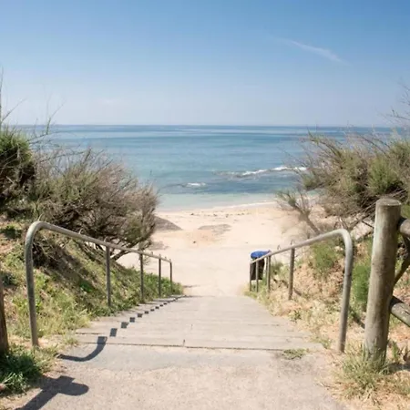 42m Overlooking The Pine Forest And Near The Sea