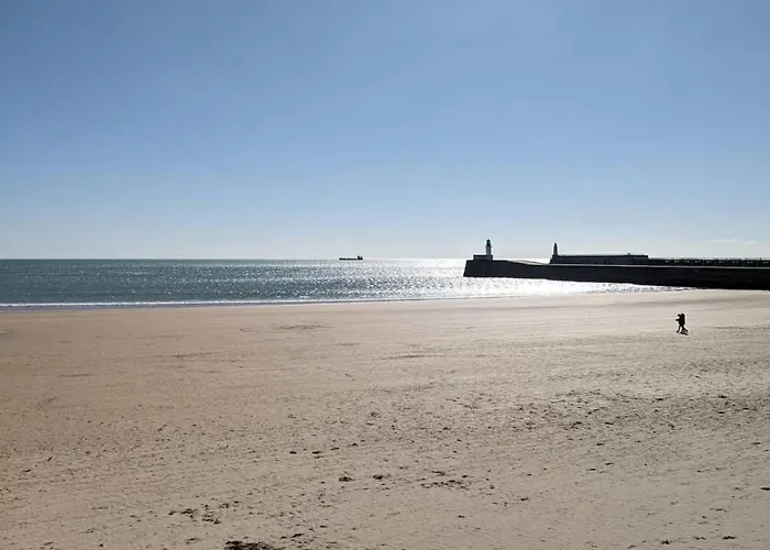 Apartmán 42m Overlooking The Pine Forest And Near The Sea *