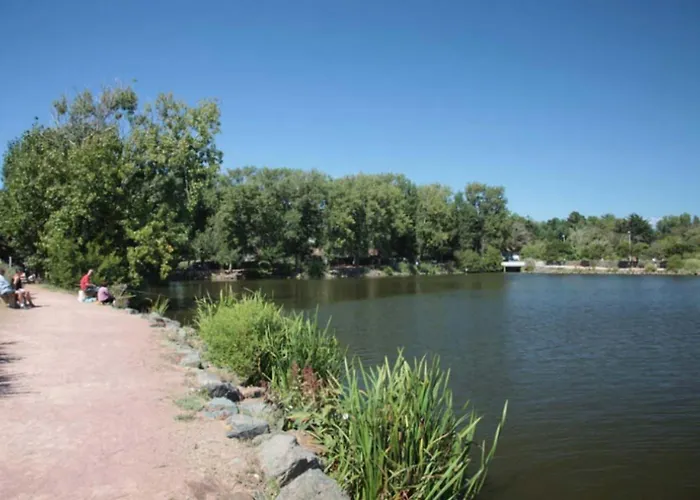 42m Overlooking The Pine Forest And Near The Sea Les Sables-dʼOlonne