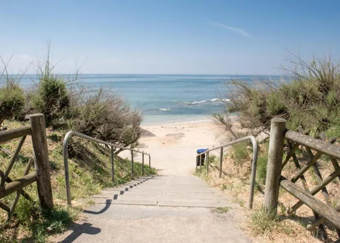 42m Overlooking The Pine Forest And Near The Sea *